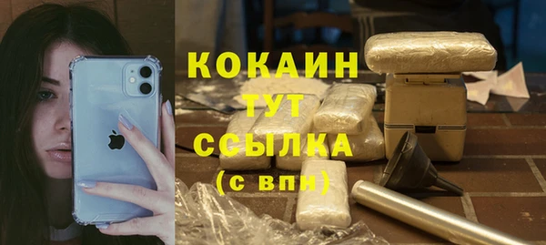 стаф Аркадак
