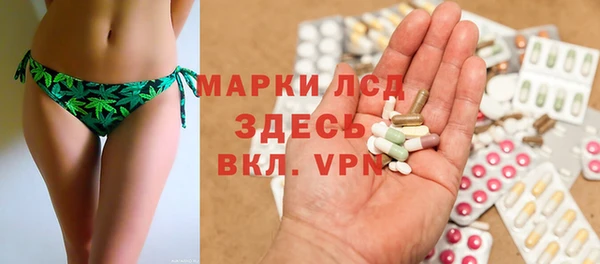 PSILOCYBIN Алзамай
