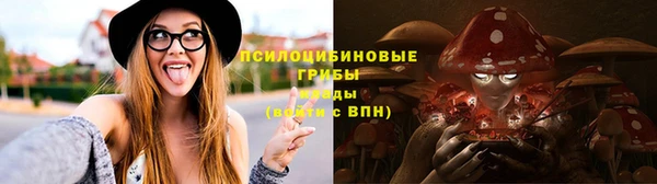 стаф Аркадак