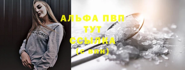 стаф Аркадак