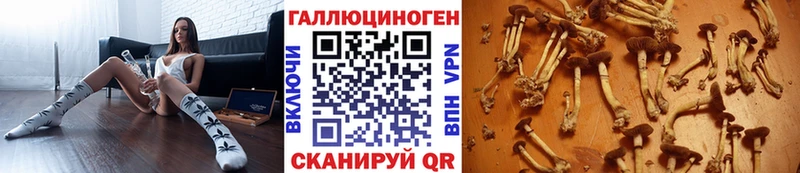 Псилоцибиновые грибы Magic Shrooms Купить Болотное